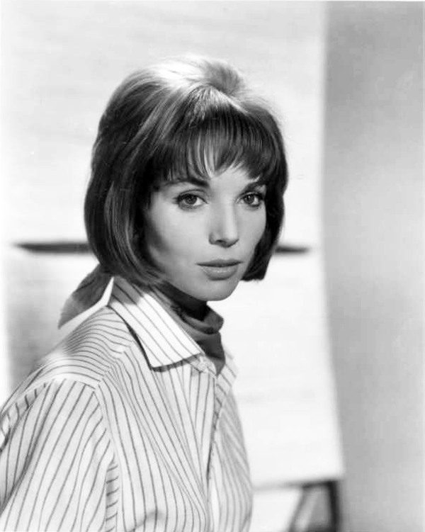 elsa_martinelli_a99