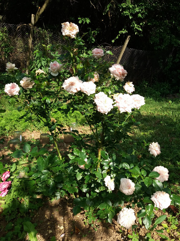 20190615_182951