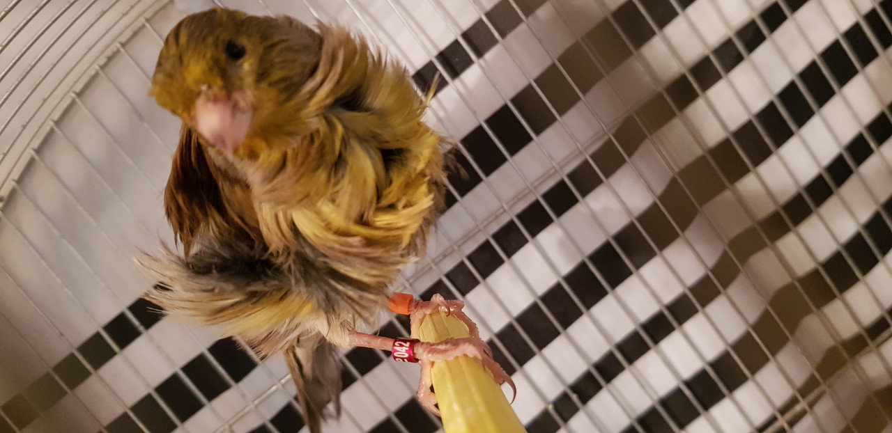 ٢?١٨١١١٥_١٥٤٤١٤