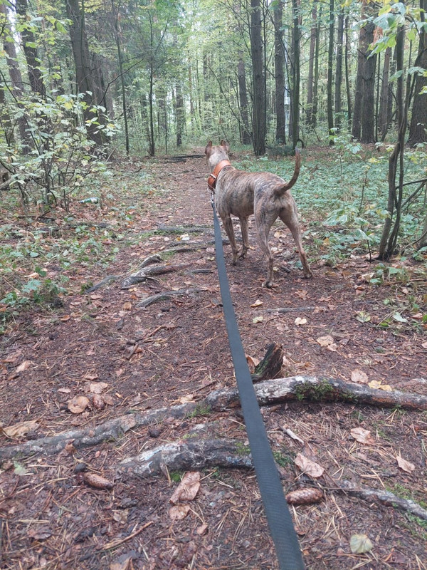 79CE6D99-74B8-44AE-908A-F1D2A4ECC532