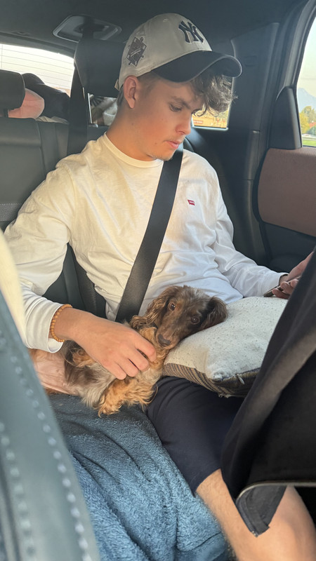 [Image: IMG-3528.jpg]