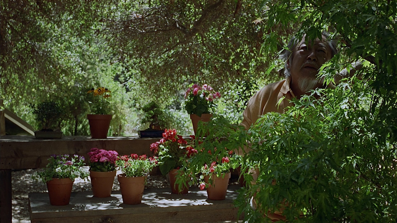 3 Ninjas Knuckle Up (1995) (1080p AMZN WEB-DL x265 FreetheFish)-