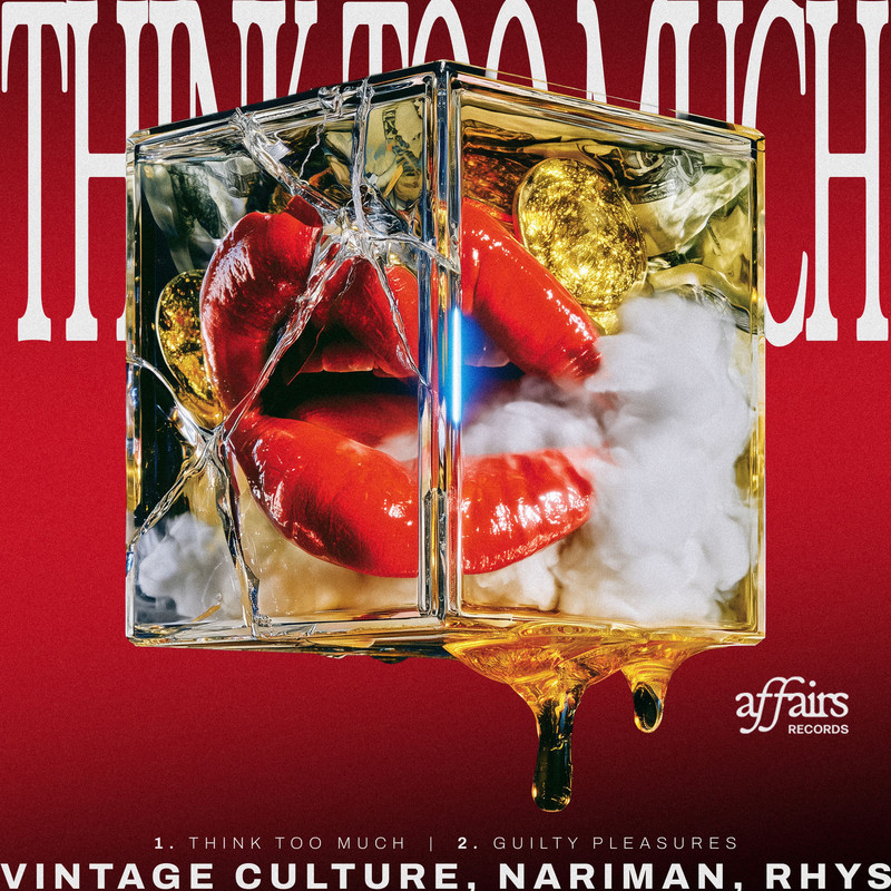 Vintage Culture - Think Too Much (Extended Mix) EP