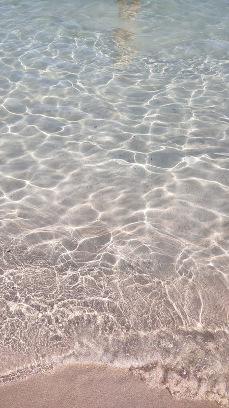 8ed9d604-4e9d-41e6-8ee9-53444d4f2f7a