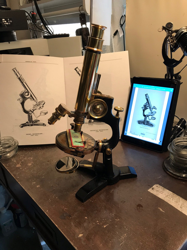 43AC2256-B56D-4859-9803-81F70FA20CC3