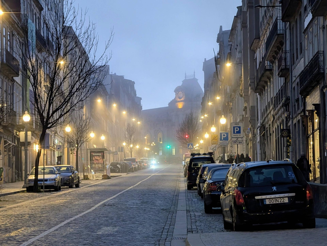 645177755 25574916505541312 1726037651661541027 n