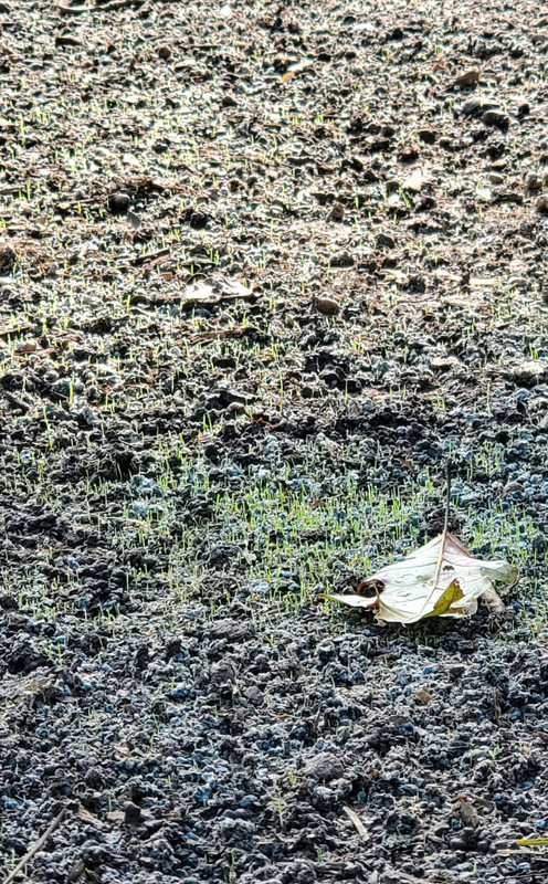 SmartSelect_20200915-103214_Gallery