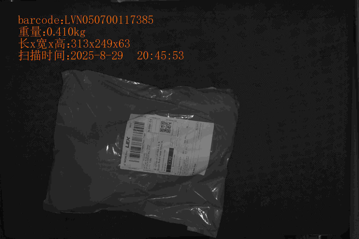 LVN050700117385_313_249_63_0.410_2025_8_29_20_45_53