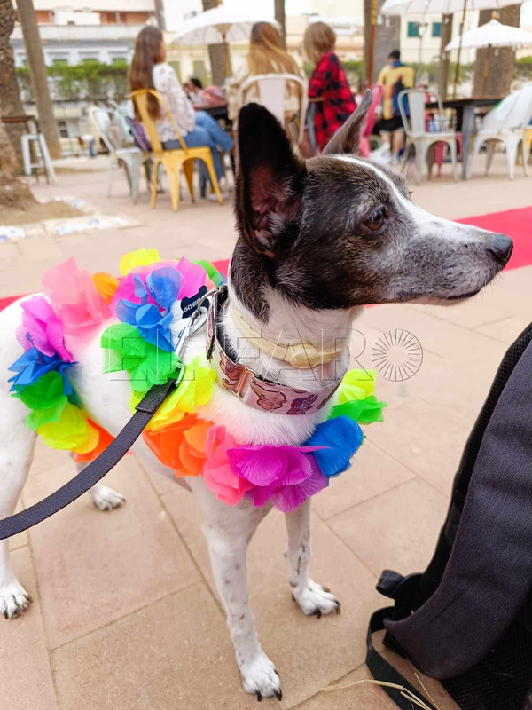 441906792_350828131017269_6325272401262750945_n (1)