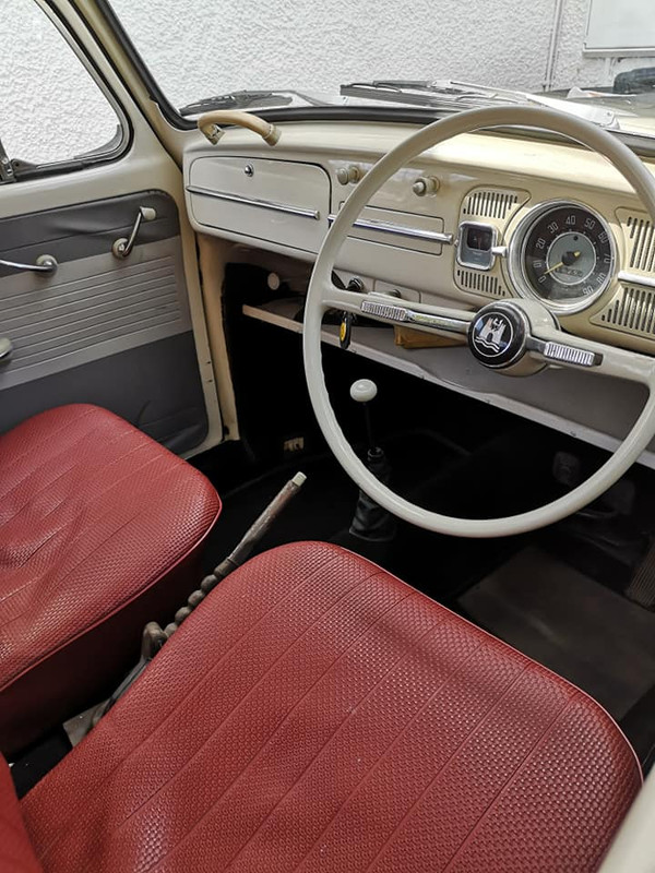 109989089_10157180110352019_7274629751847120005_n