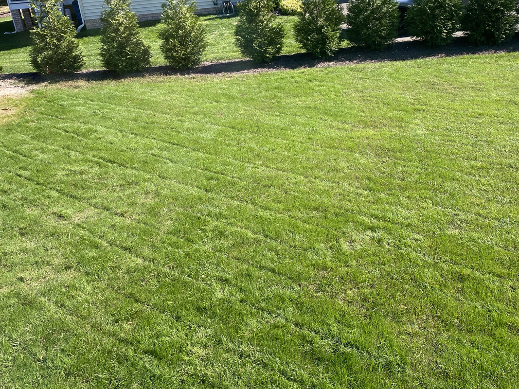 82E831BE-5844-4B6D-86ED-21A545A4B852