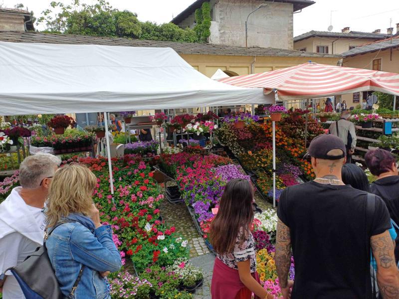 “Cavour in Fiore” Sabato 2 e domenica 3 maggio 2026 ai piedi della Rocca