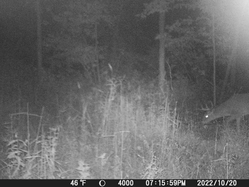 DC5E54D7-6D0A-4453-92B5-5335325A5DC0