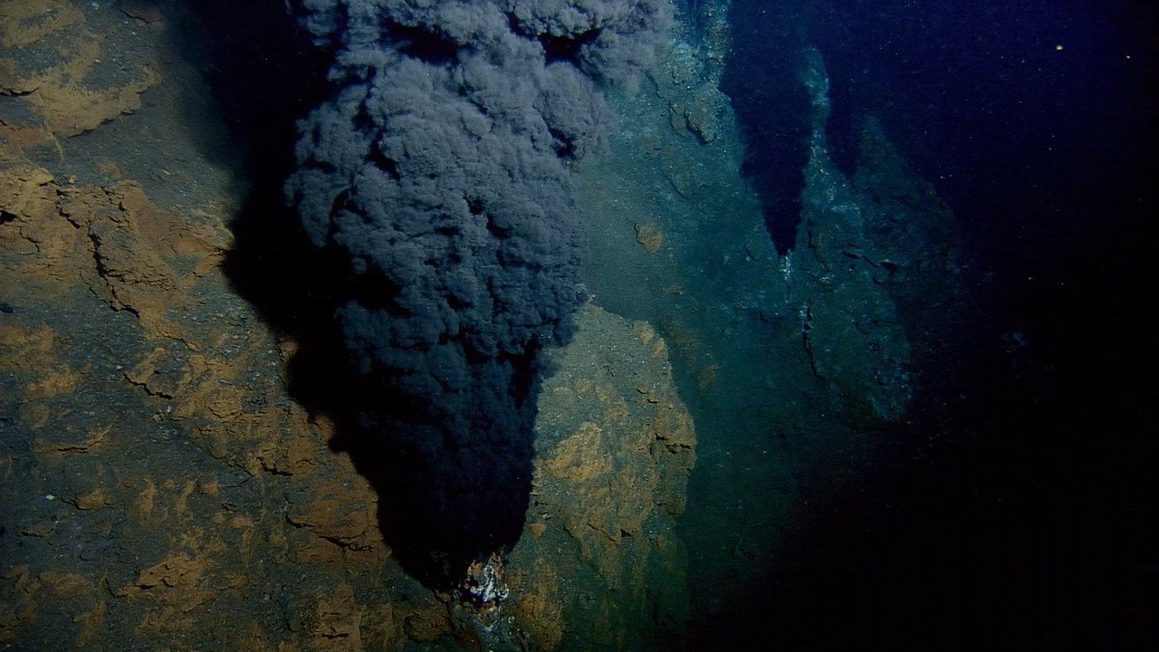 Planet Earth S01E11 Ocean Deep.mkv_snapshot_25.32_[2018.03.01_22