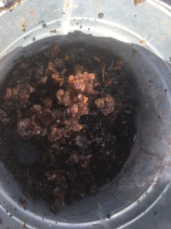 A6CA630E-3E60-4E82-957B-28ECD7601FE4