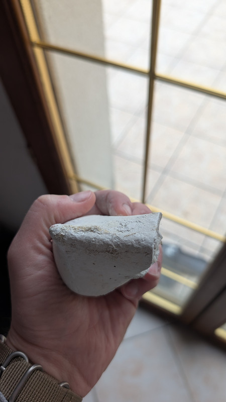 PXL 20251204 104535872