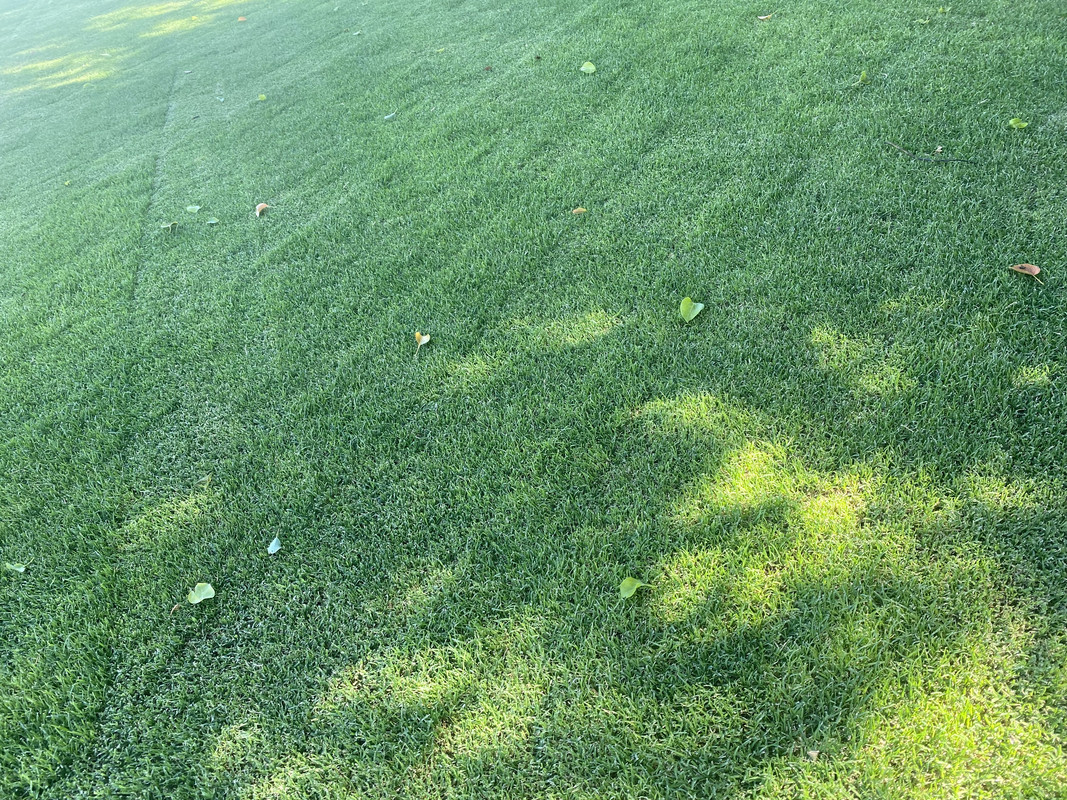 8FC83390-EAC0-423E-8EEC-3E695F722FE6