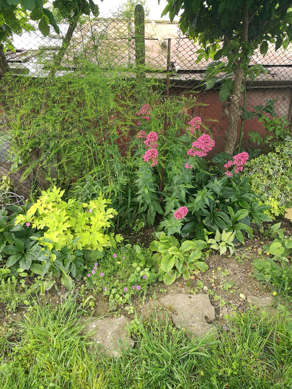 IMG_20230604_092255