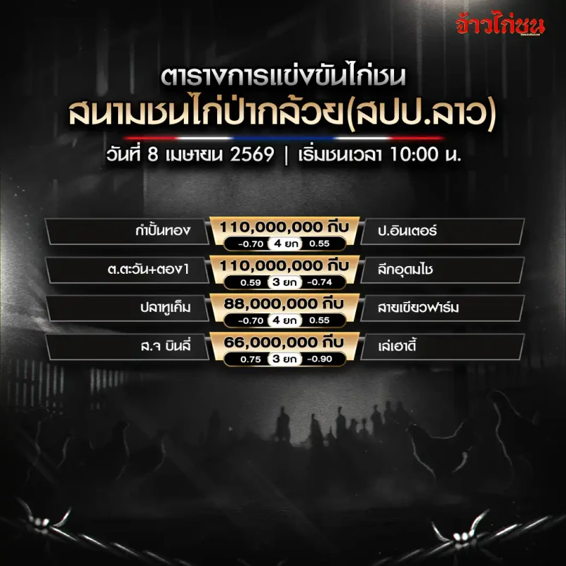 โปรแกรมไก่ชน สนามชนไก่ป่ากล้วย วันที่ 8 เมษายน 2569