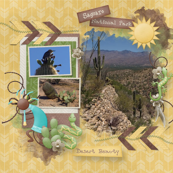 Desert-Beauty-HSA-A-Little-Bit-Arty-3-D-copy.jpg