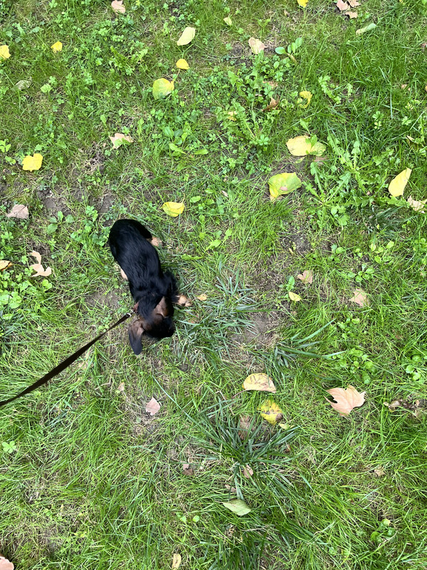 [Image: IMG-2576.jpg]