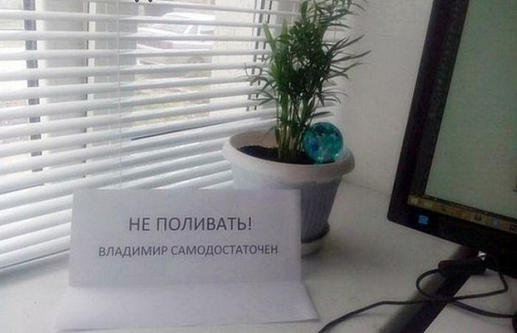 16 записок, которые могли написали только женщины