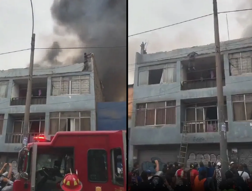 Hombre escala edificio para salvar a 25 perritos de un incendio en Perú: video