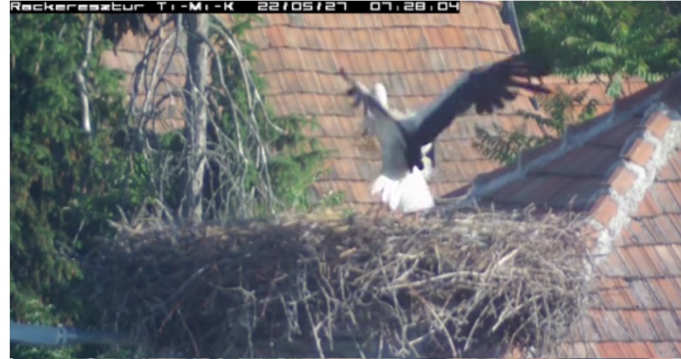 2022-05-27_075708érkezik