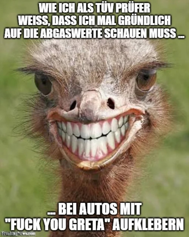 picdump-kw44-2024-137.jpg