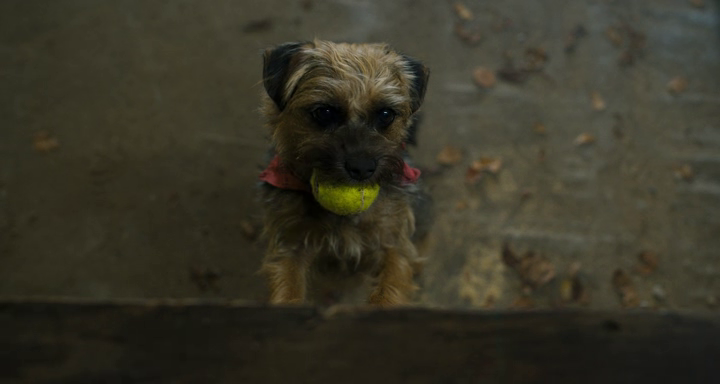 vlcsnap-2023-12-06-10h18m14s922