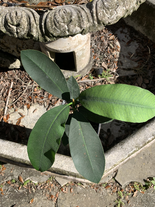 D9A236F3-689C-4F93-A381-75038042CFBF