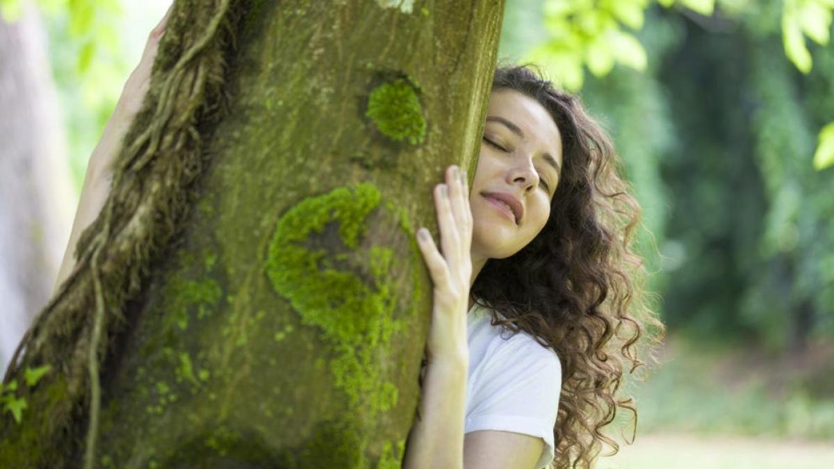 abbracciare albero benessere salute cervello