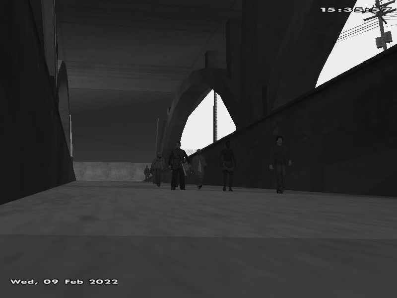 SSRP-1.png