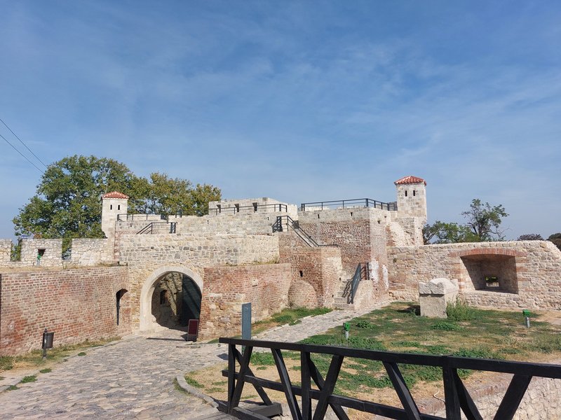 Slika