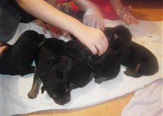 ^28CB52F918D80323CD9FF50C5E5DB3BF7F668ECCA51C7EF