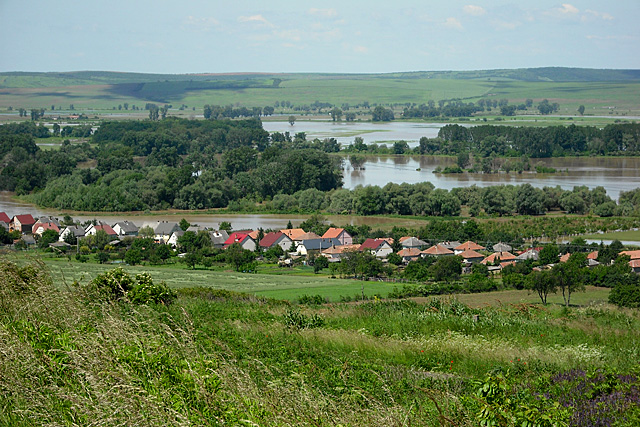 Kép