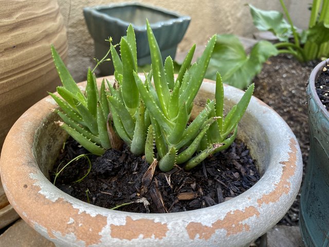 [Image: 6577-B2-AE-6778-44-FD-9-FC2-41-B3-A7429827.jpg]