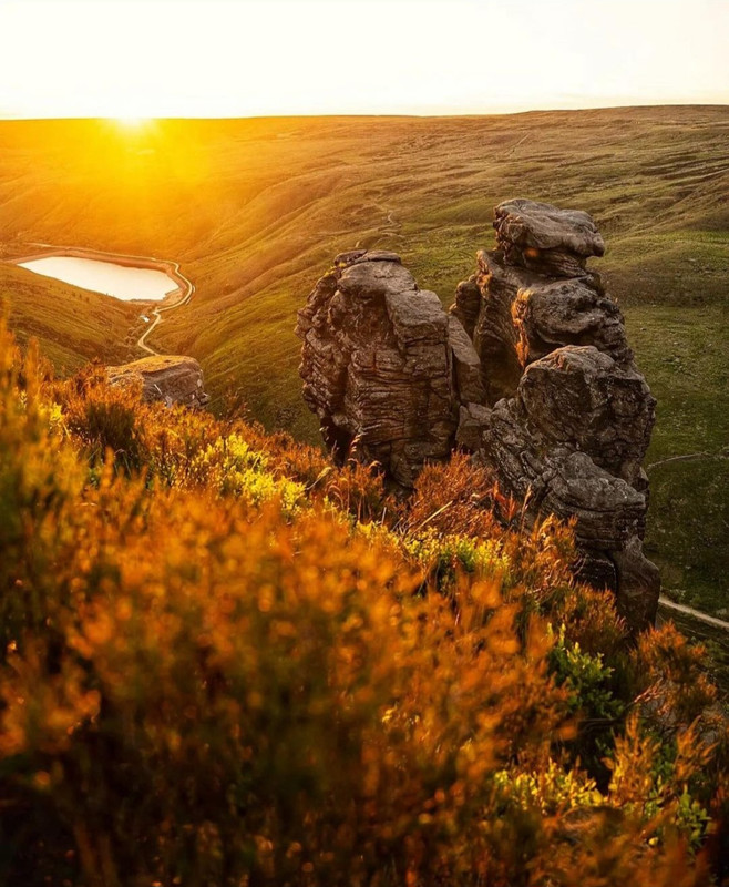 Screenshot_20231208_212152_Instagram