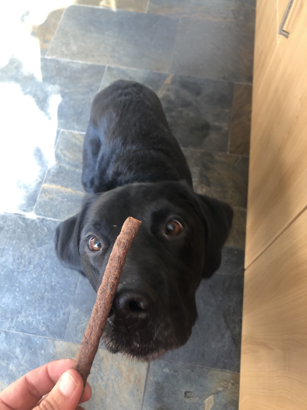 78D26007-384D-42D1-B1EC-4BE4181ED559