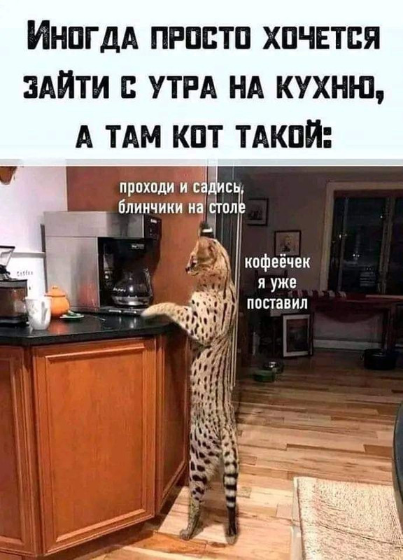 22671670-33CD-46DF-9877-730DA97E2E6D