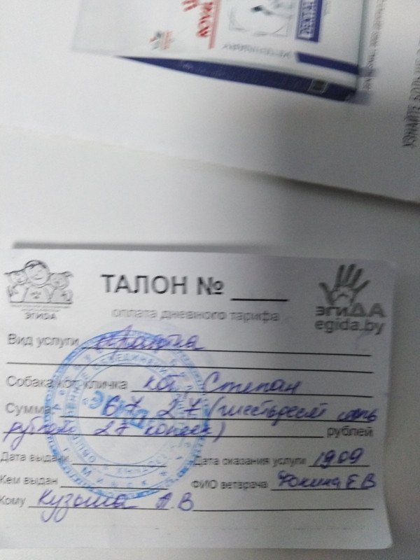 изображение_viber_2022-11-10_16-45-27-181