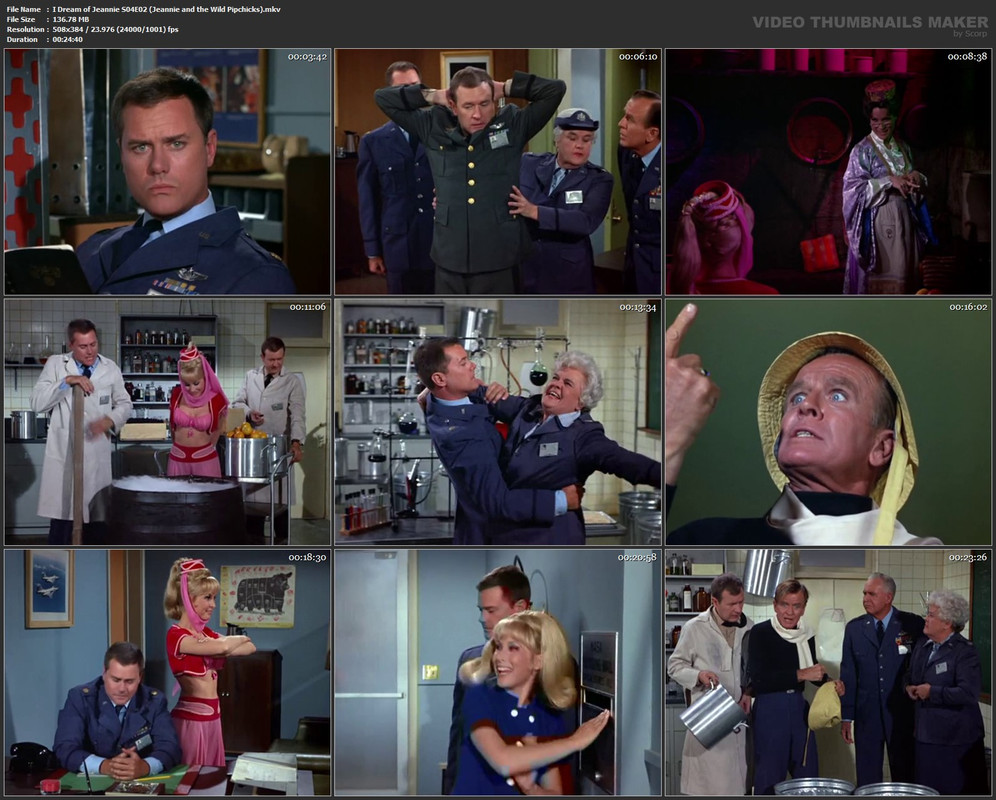 I Dream of Jeannie S04E02 (Jeannie and the Wild Pipchicks).mkv