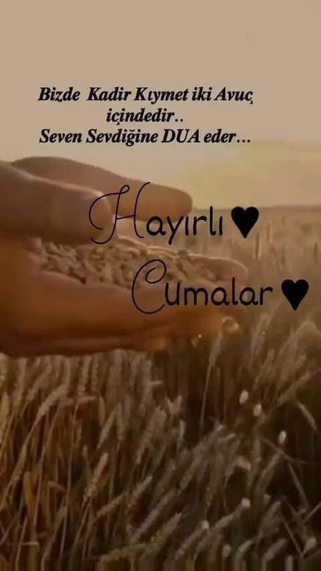 resim