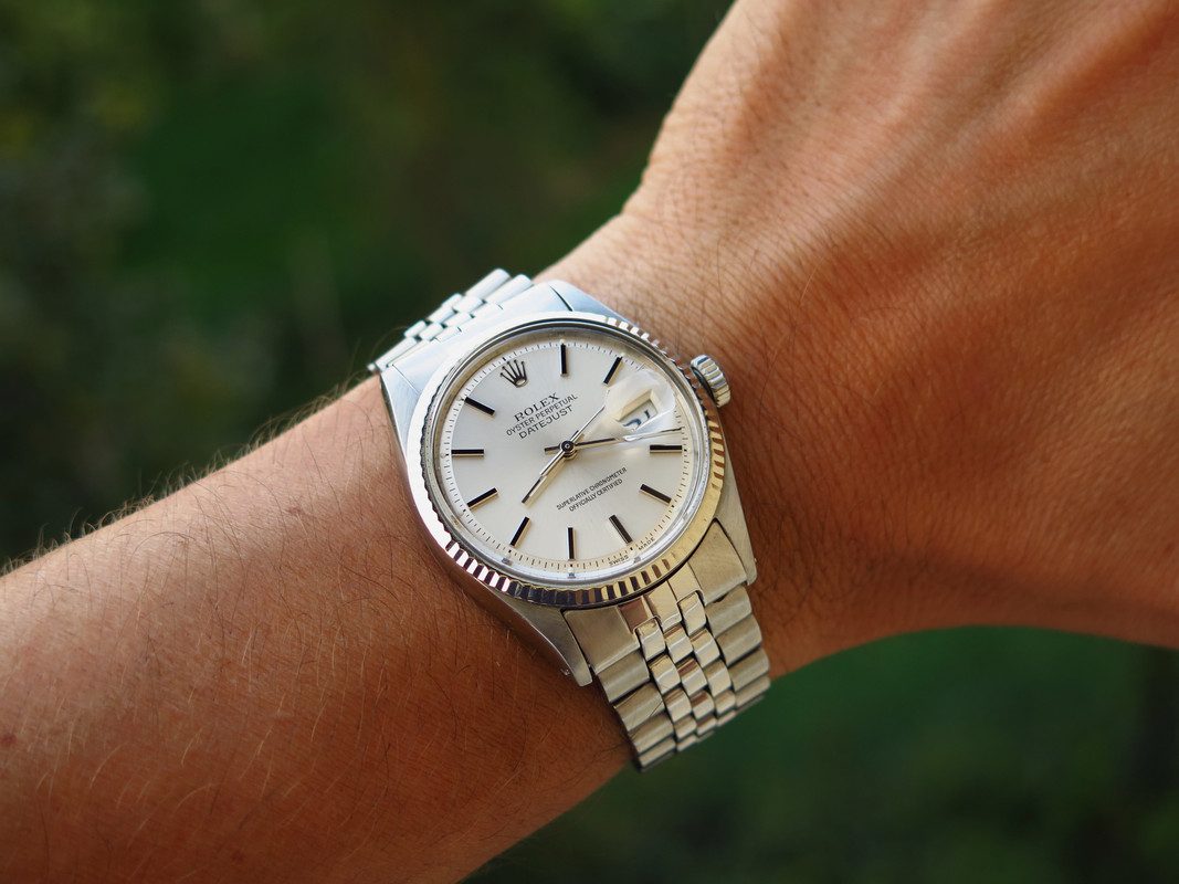 IMG-5338.jpg
