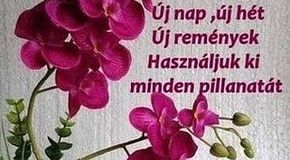 https://i.postimg.cc/wMLsWTcN/hetfo2a.jpg