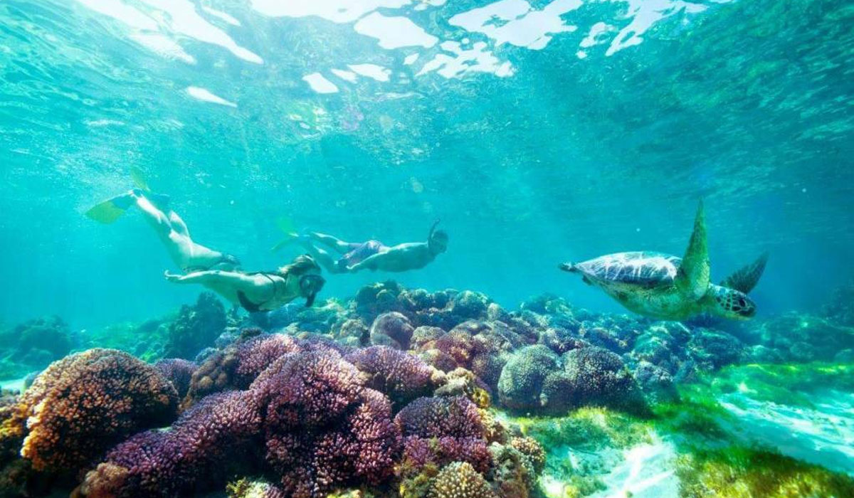 Aktivitas Seru di Lord Howe Island
