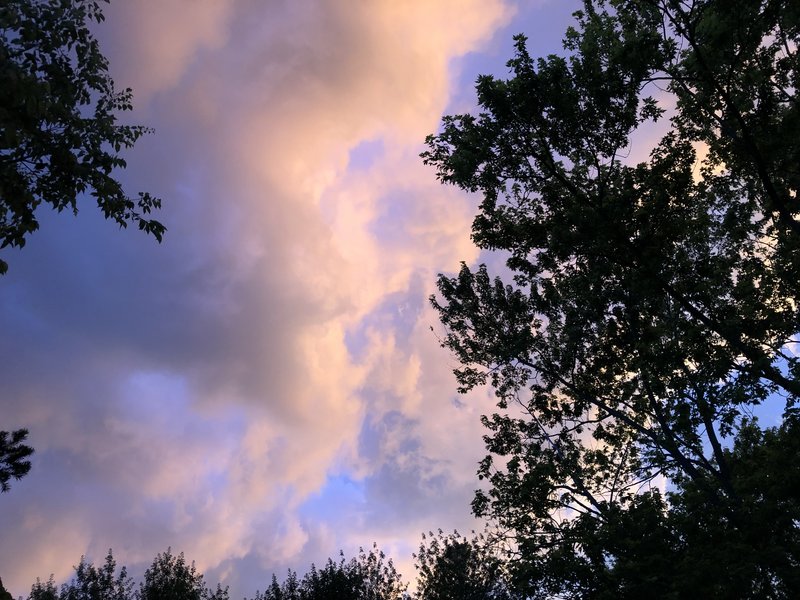 2A5C2E56-7322-4752-BF71-BD3B0FBF1D33