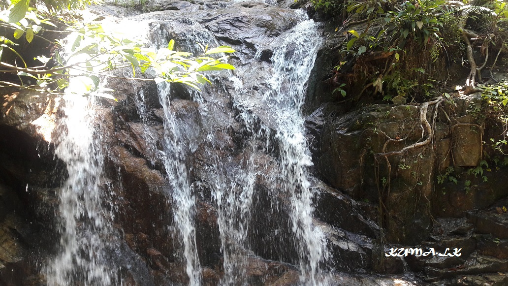 20190319-114520.jpg