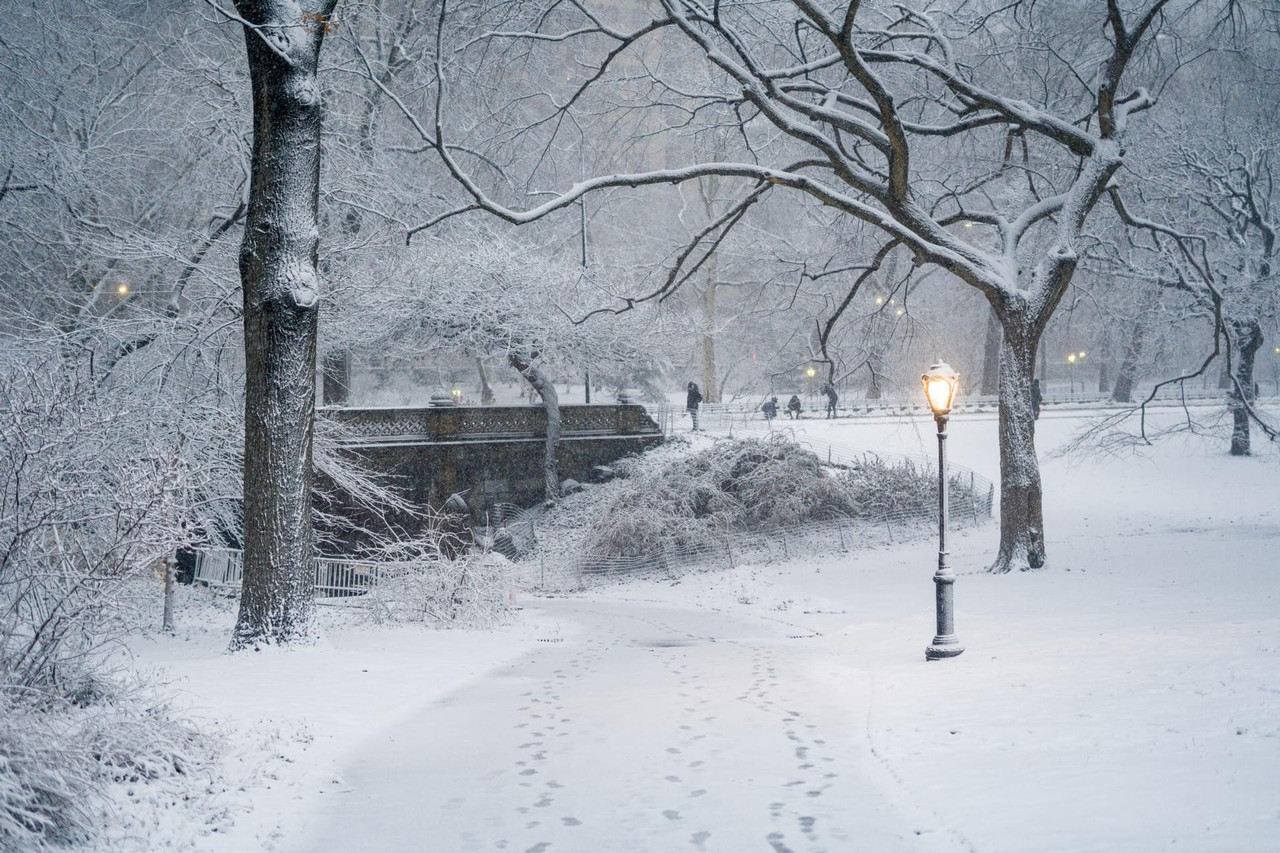 central park snow (18)