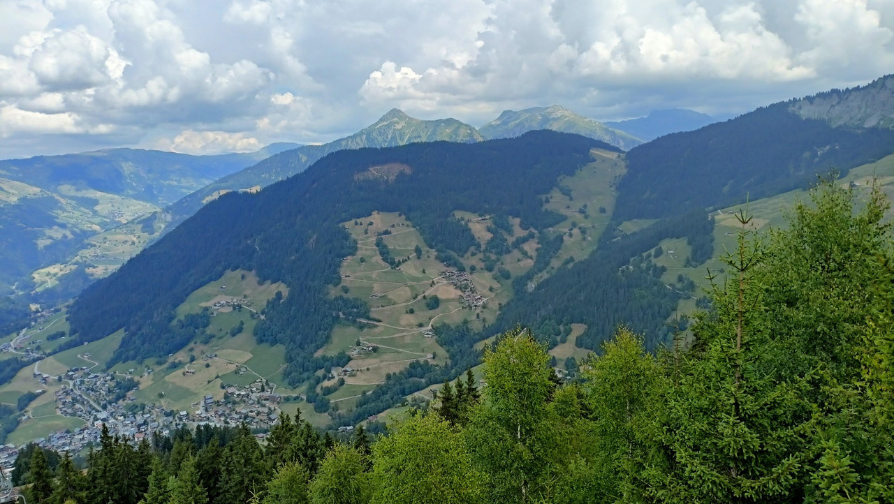 IMG20250713140318 (Large)